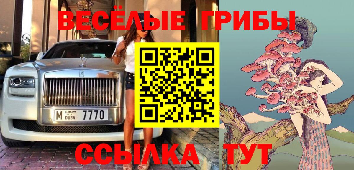 Галлюциногенные грибы Psilocybe  Вход с VPN  Миллерово 